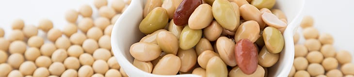 豆の画像