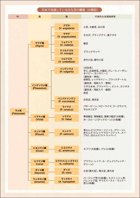 日本で流通している主な豆の種類（分類図）