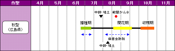 広島県のあずきの栽培暦-秋型（広島県）