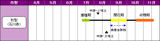 石川県（奥能登地域）のあずきの栽培暦-秋型（石川県）