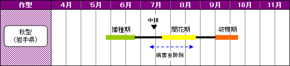 岩手県のあずきの栽培暦-秋型（岩手県）