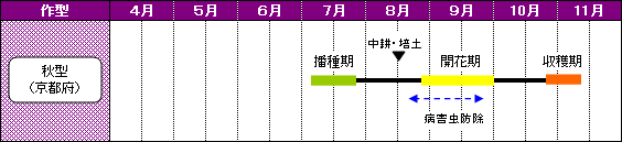 京都府のあずきの栽培暦-秋型（京都府）