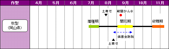岡山県（井笠地域）のあずきの栽培暦-秋型（岡山県）