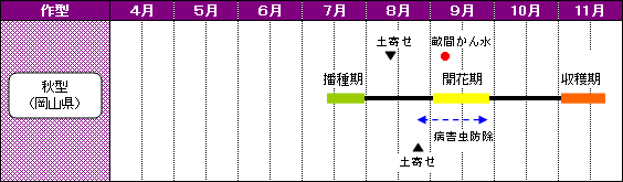 あずきの栽培方法 岡山 公益財団法人 日本豆類協会